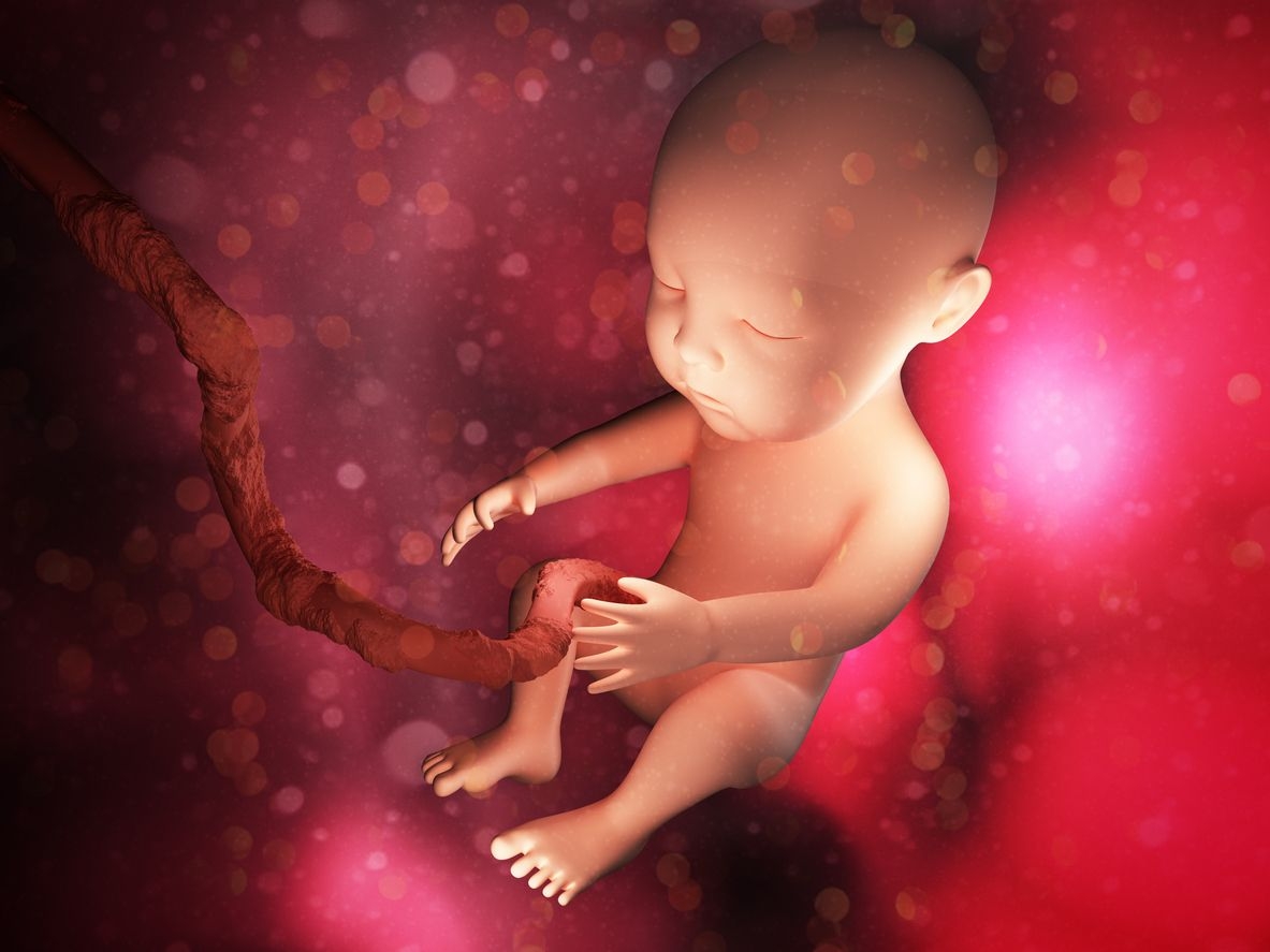 Stem cells donation image