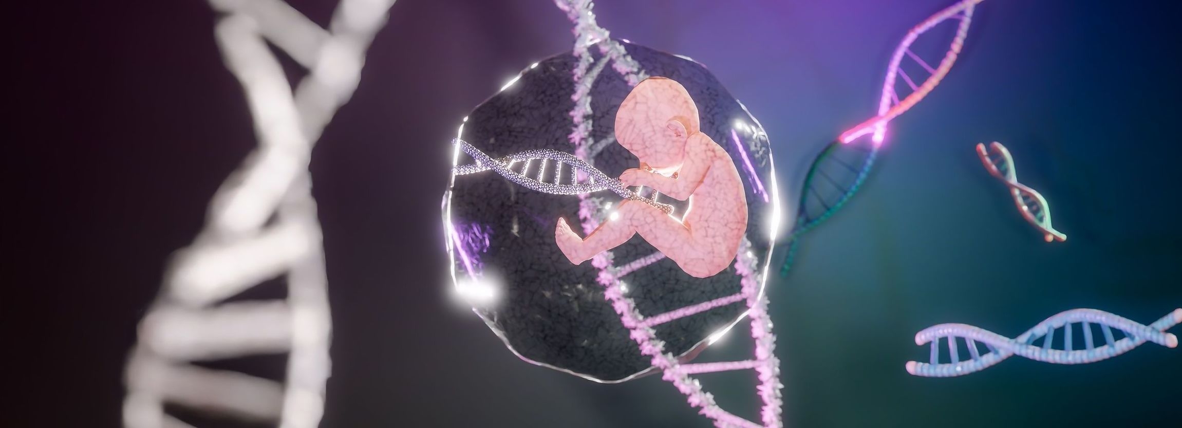 Stem cells donation image